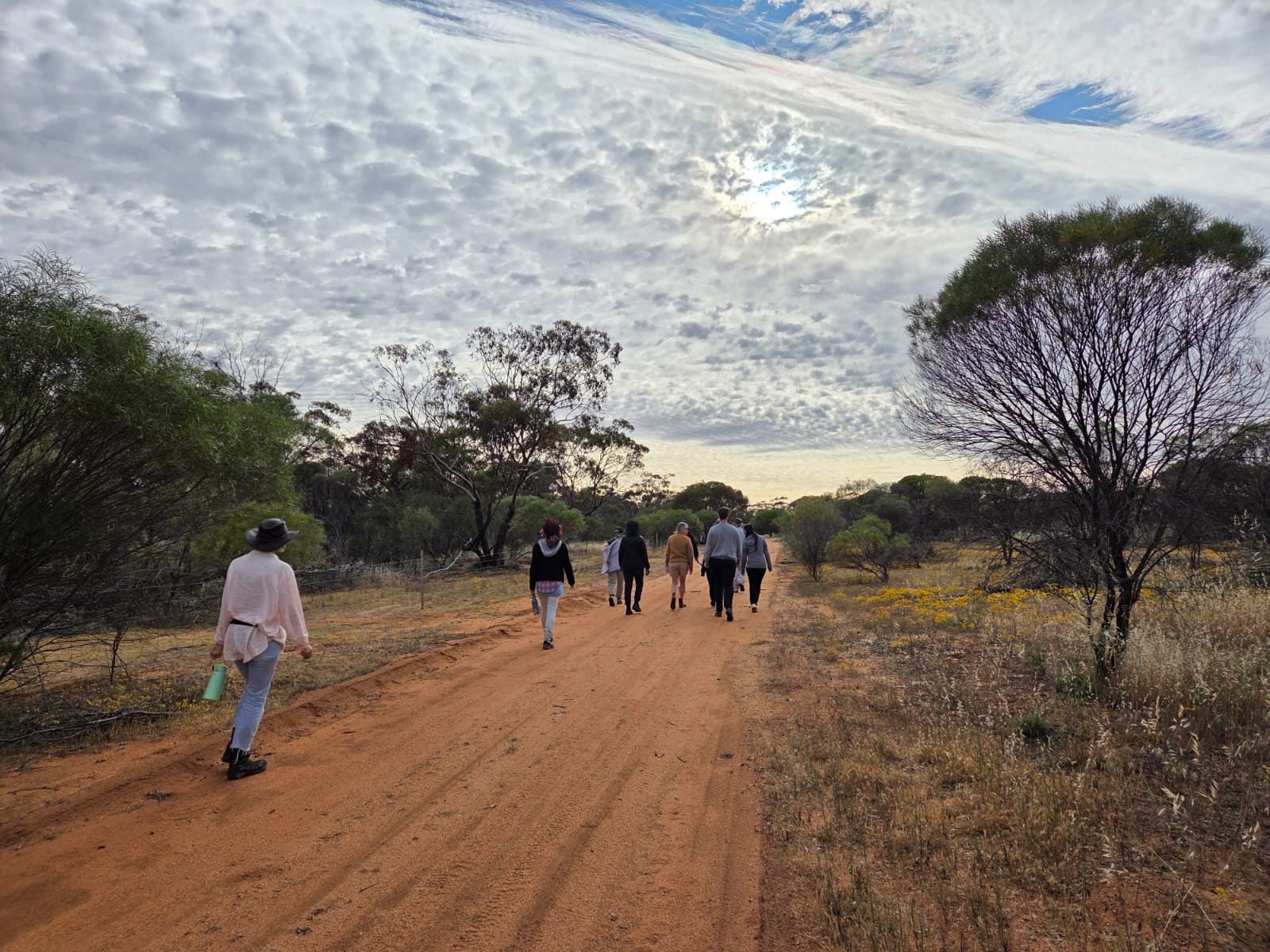 Corporate & Teacher PD Journey